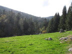 Col Du Beal